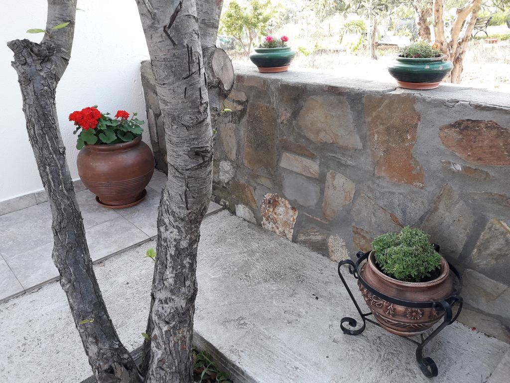 Nikiforos House Apartment Áyios Nikólaos Luaran gambar